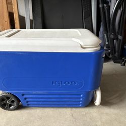 Cooler Igloo