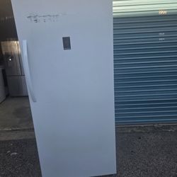 Insignia Huge Up Right Deep Freezer 