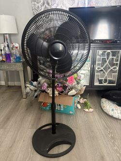 Fan
