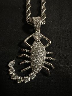 Scorpion Pendant And Chain 