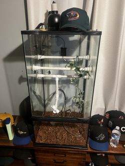 Snake Tank