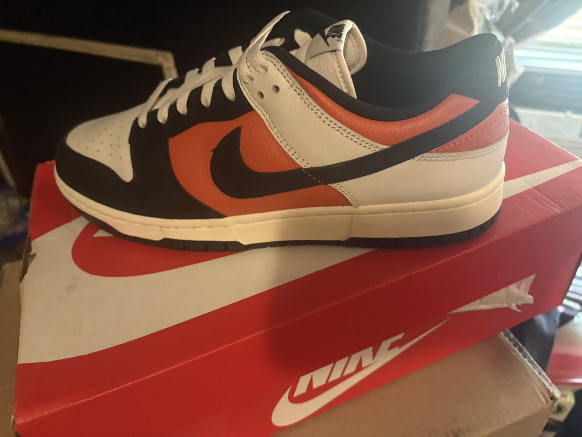 Brand New Nike Dunk Low Retro New Size 9.5