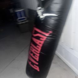 Punching Bag