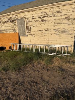 Extension ladder tall