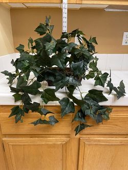 Artificial English Ivy with Ledge Basket Silk Plants. W 26 inches and  H 23 inches. OBO