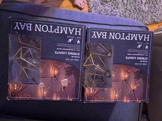 2 sets of outdoor lights