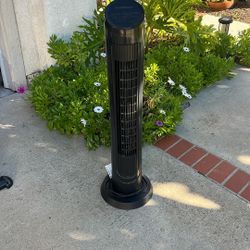 Oscillating Stand Up Fans