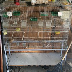 Big Bird Cage 