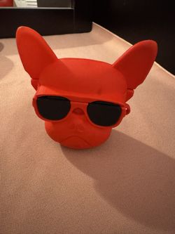 Case for iPhone Headphones 