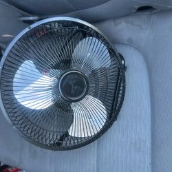 Fan