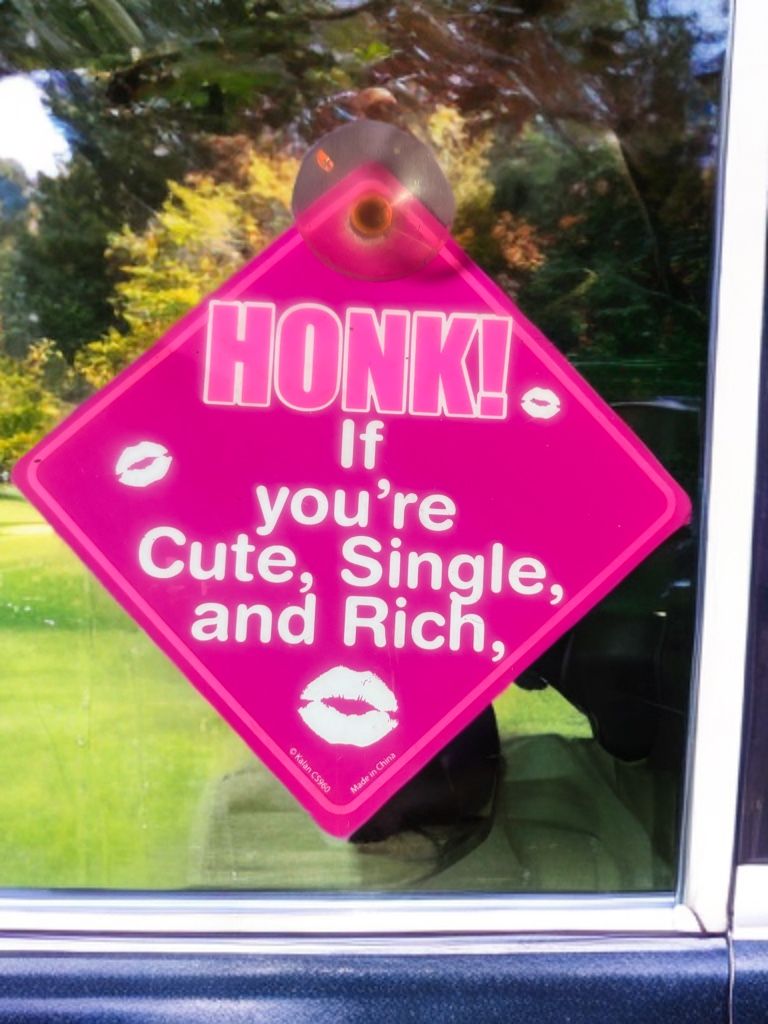 Pink -HONK if you’re Cute , Single And Rich Bummer Sticker Sign With Suction Cup