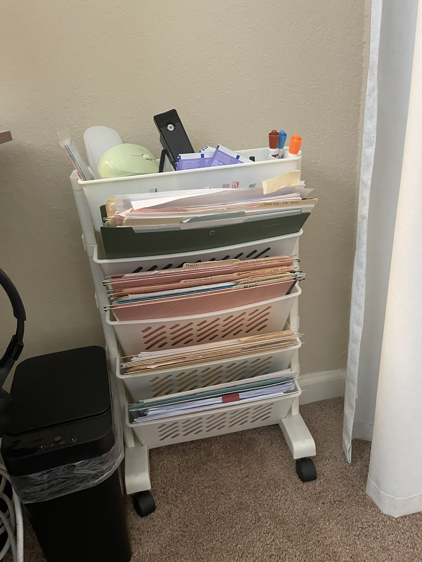 File Organizer