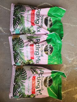 Tropical potting mix  miracle gro