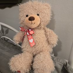 Teddy Bear.. Never Played With