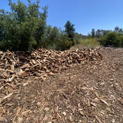 Firewood 