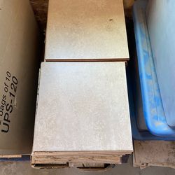 12” x 12” Ceramic Floor Polished Visual Tiles