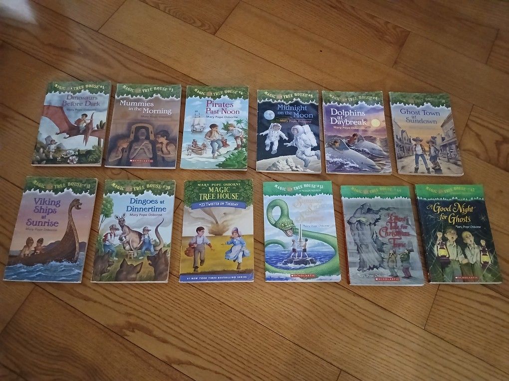 Magic Treehouse Book Lot