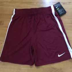 Nike Youth Unisex Dri-Fit Athletic Shorts Large Size