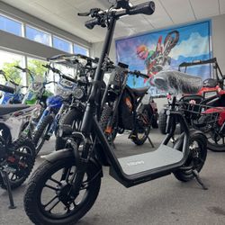 Electric Scooter 