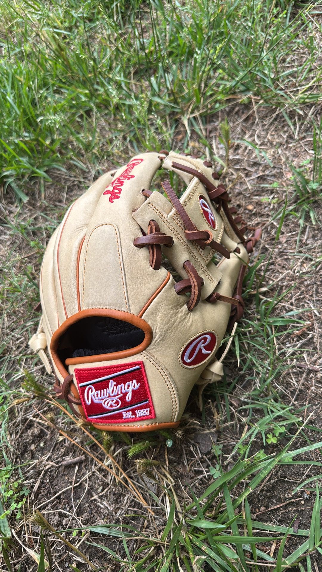 Baseball Glove