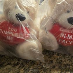 Teddy Bear Mother's Day Gift