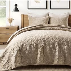 EVERGRACE Luxury Pearl Velvet Quilt Set Queen Size 3 Pieces, Soft Paisley-Stitch Velvet Comforter Set with Pillow Shams, Lightweight Bedspread Coverle