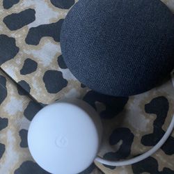 Google Speaker