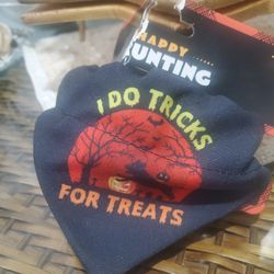 New! Small Halloween Doggie Wear