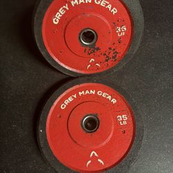 35 Lb Bumper Plates