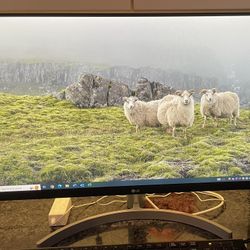 LG 27” 1080p Monitor