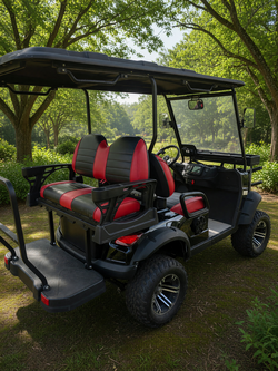 BorCart 4-Seater Electric Golf Cart in good condition