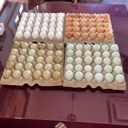 Organic 🥚 Eggs 🪺 