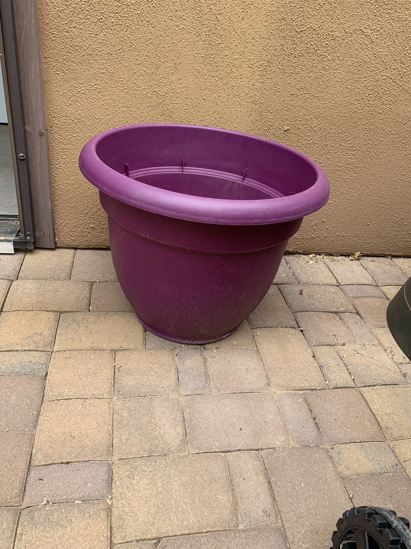 Large Purple Planter for Sale in Scottsdale, AZ OfferUp