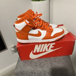 Nike Dunks high top sz11.5