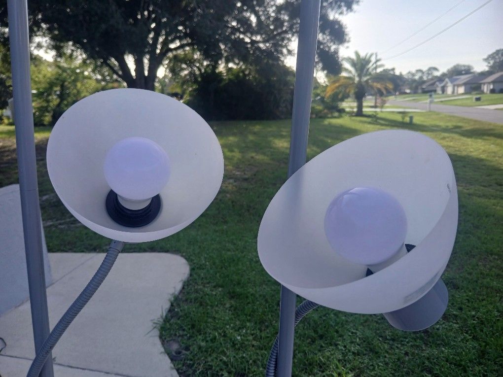 Standing Lamps