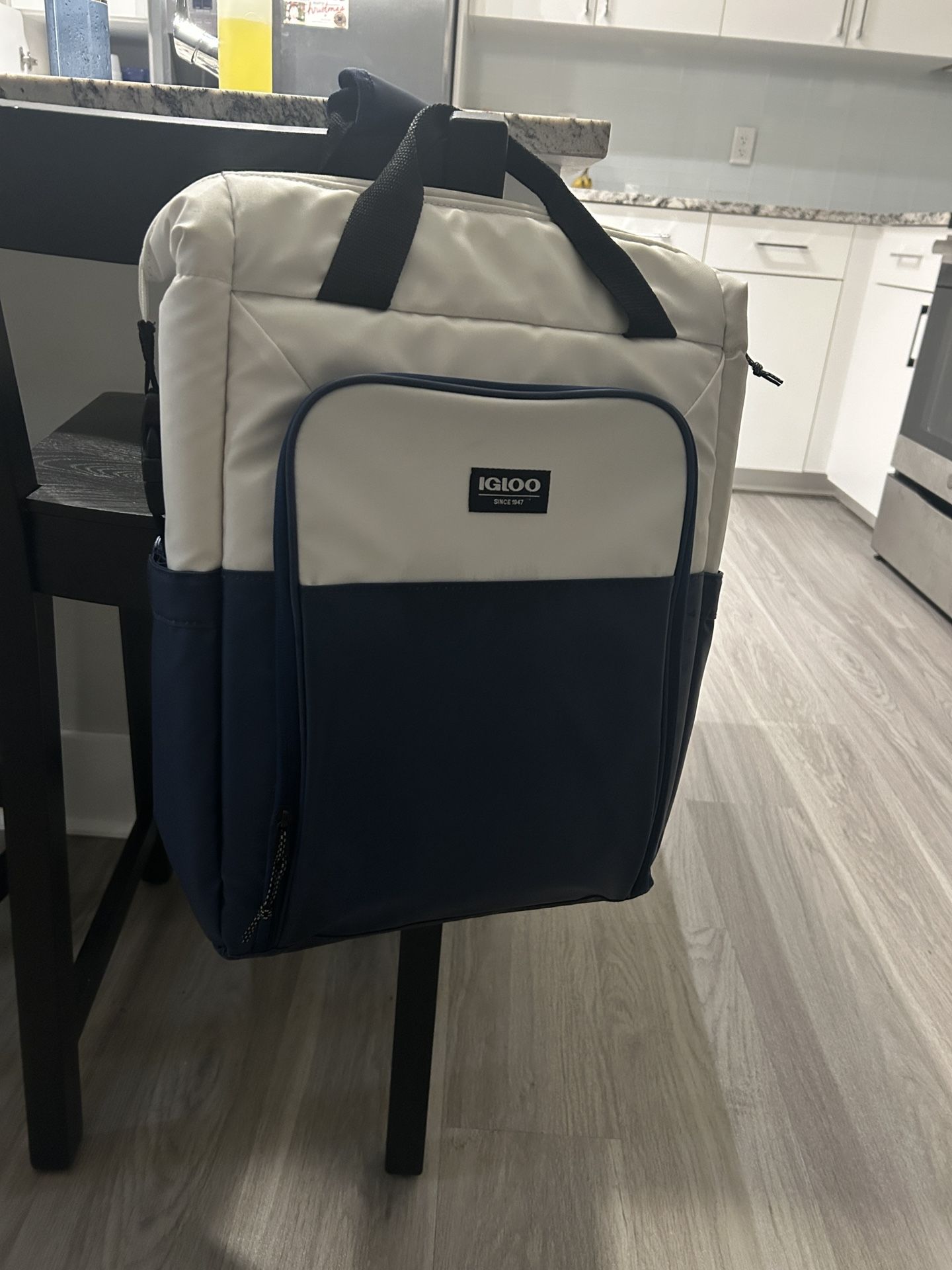 Backpack Cooler