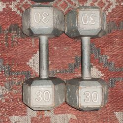 Set of 30 lb Dumbbells 