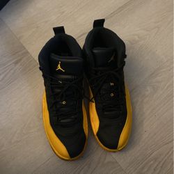 jordan 12 