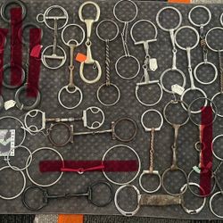 Horse Snaffle Bits