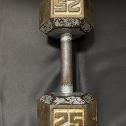 25 Pound Dumbbell