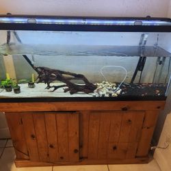 55 Gallon Tank Stand Lid Filter And Lights