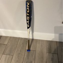 Easton Rival Baseball Bat 27 Inch