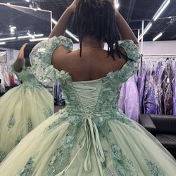 Quinceanera/Sweet 16 Dress 