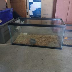 Two Aquarium Tanks 