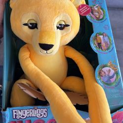Toy 