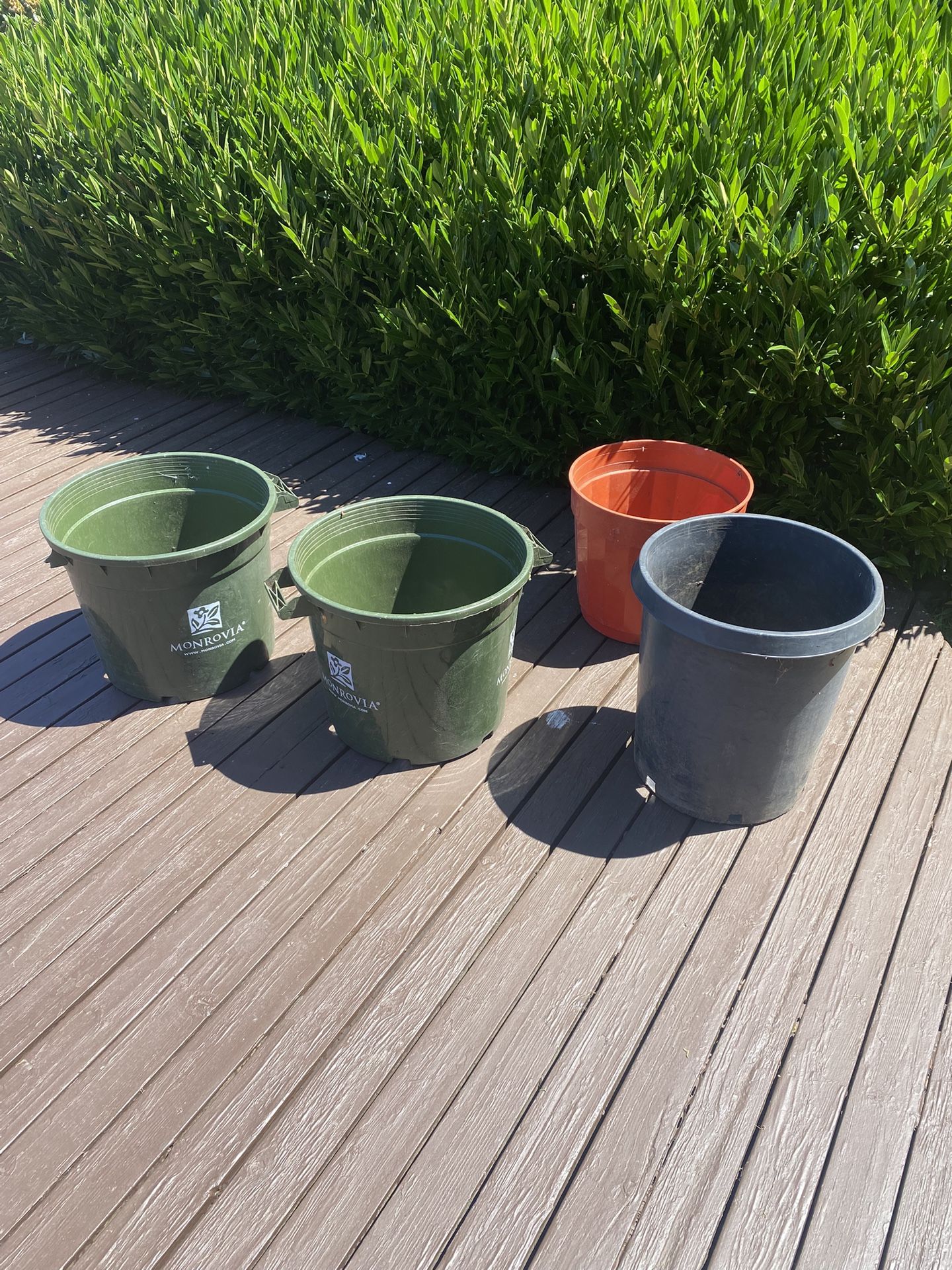 4 Larger Plants Plastic Pots .