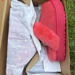 UGG Slippers 
