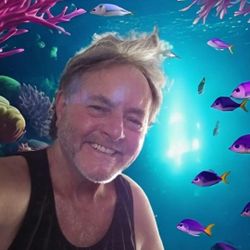 2015 Ducati Monster 800