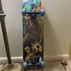 Tony Hawk Skateboard 