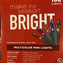 44 Multicolor Indoor/outdoor 100 Mini Lights ($1 each)